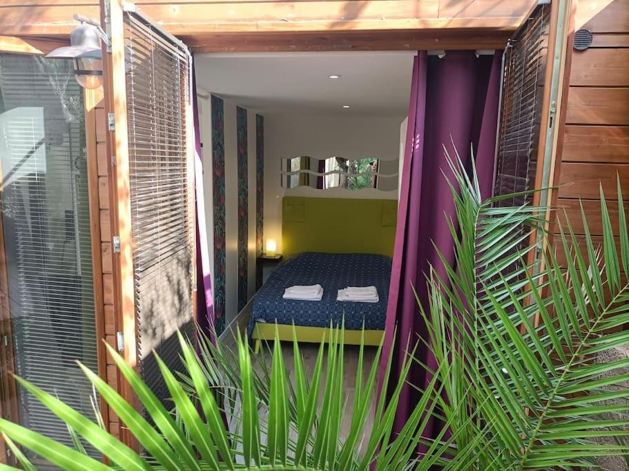 Studio Jacuzzi Prive A 8 Min A Pied De La Plage Daire La Ciotat Dış mekan fotoğraf