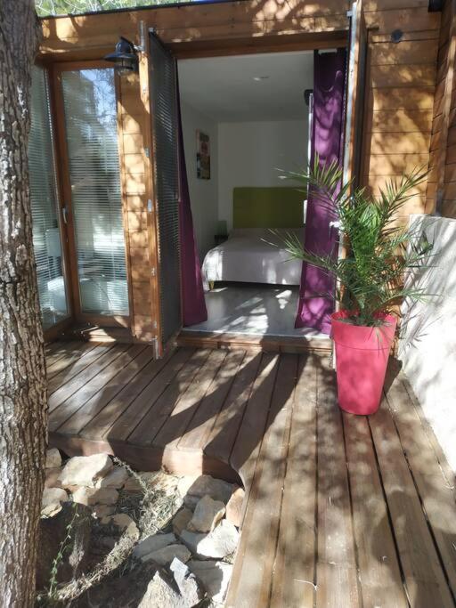 Studio Jacuzzi Prive A 8 Min A Pied De La Plage Daire La Ciotat Dış mekan fotoğraf